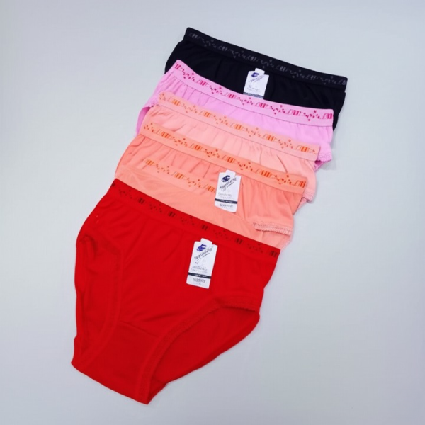 Pack of 5 Women’s Panties – Soft Lycra Fabric, Breathable & Stretchable Everyday Underwear – Sizes S, M & L