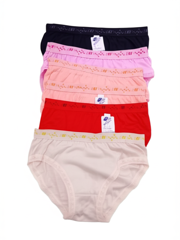 Pack of 5 Women’s Panties – Soft Lycra Fabric, Breathable & Stretchable Everyday Underwear – Sizes S, M & L