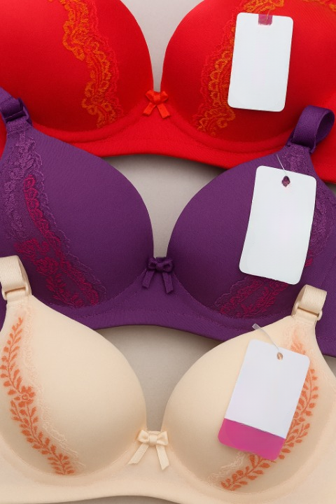 Luxury Silk Embroidered Padded Bra – Soft Fabric, Elegant Design & All-Day Comfort for Women