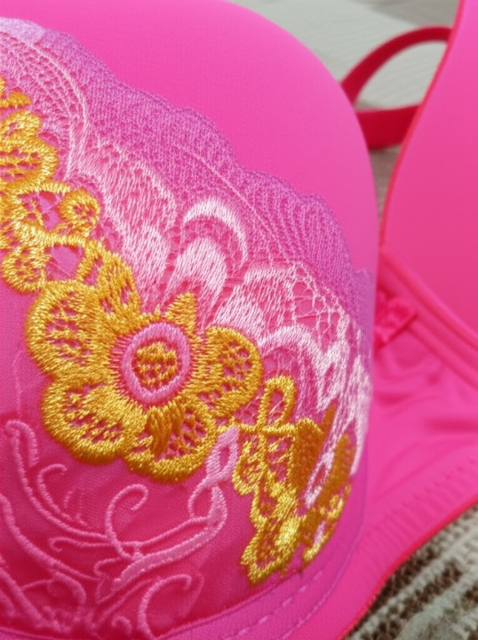 Luxury Silk Embroidered Padded Bra – Soft Fabric, Elegant Design & All-Day Comfort for Women